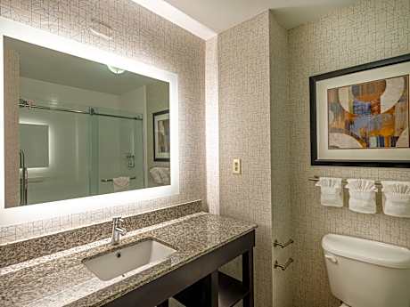 1 King Suite