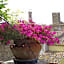 Albergo Etruria