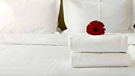 1 Queen Bed Nonsmoking