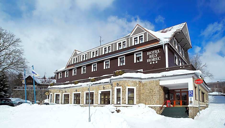 Spa Hotel Bily Horec