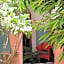 Riad Siwan
