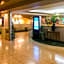 Clio Court Hakata Hotel