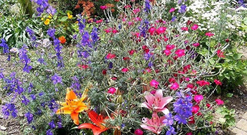 Chambres d'Hotes Vignes et Loire