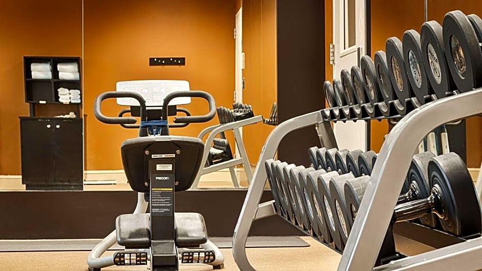 Hilton Garden Inn Houston/Galleria Area