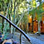 Cabañas Ensenada Bosque Nativo