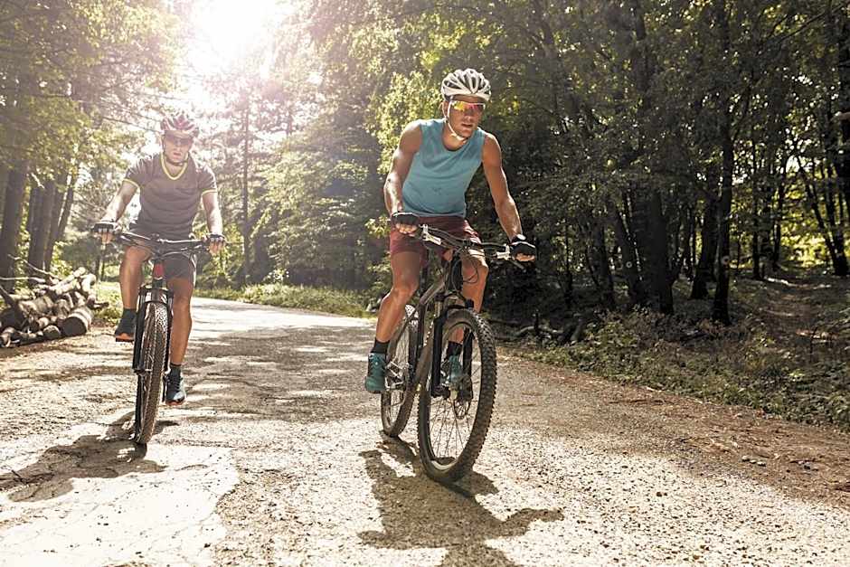 Gailerhof Hotel B&B Superior