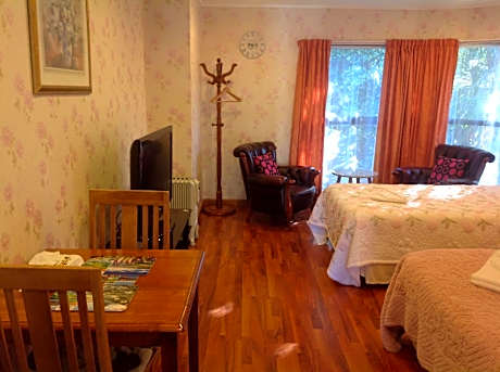 Twin Studio with Kitchen