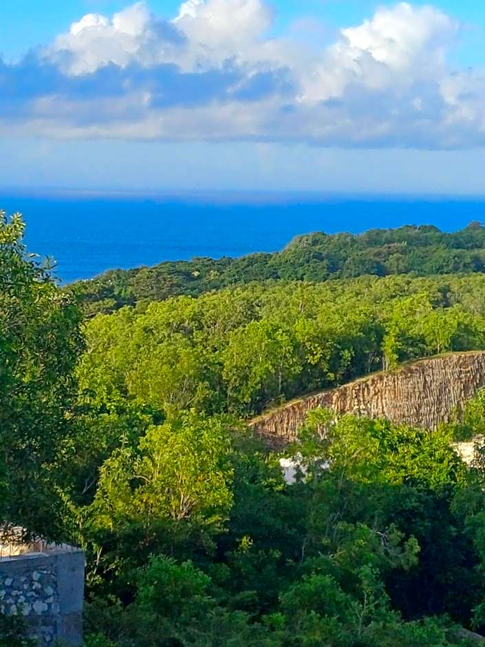 Green Bowl Beach Villas