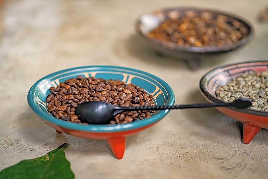 Chachagua Rainforest Hotel & Hot Springs