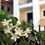 Renia Studios - Pool & Beach in 150m - Agia Pelagia