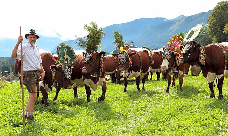 House of Hütter - Wachtelhof & SPA