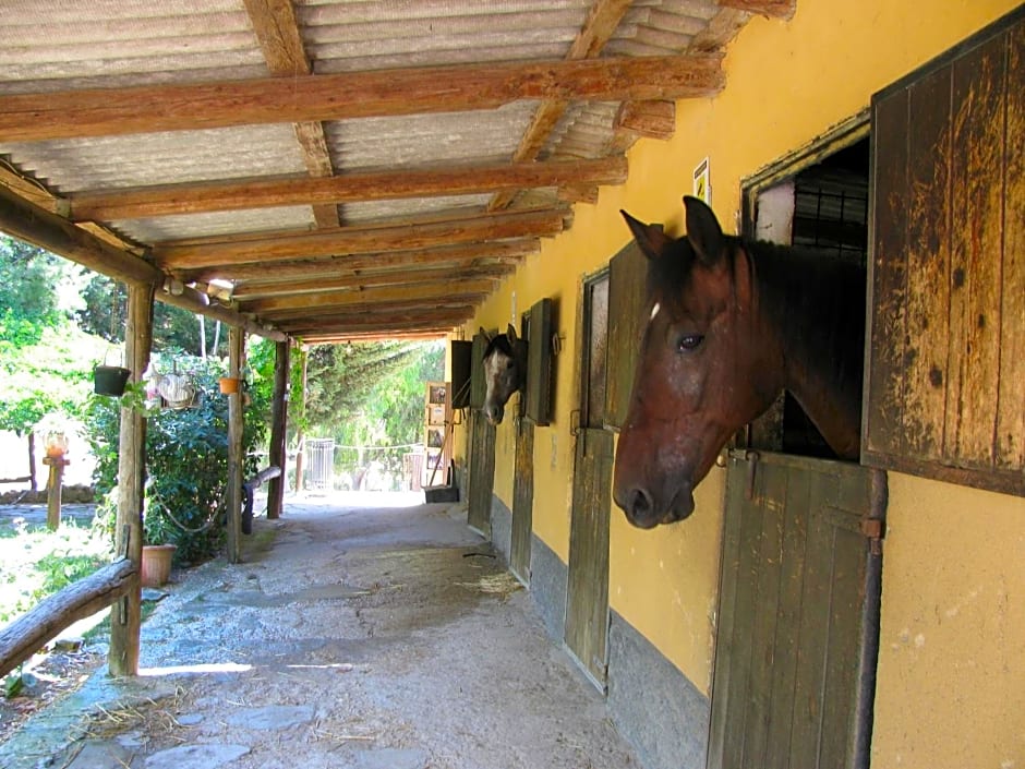 B&B Macalube Aragona