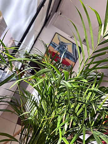 Vieille tour Hotel centre Rouen