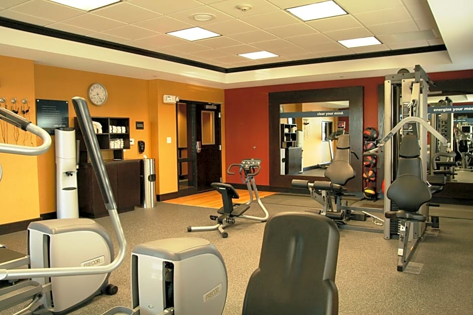 Hampton Inn By Hilton & Suites Dallas/Lewisville-Vista Ridge Mall, Tx