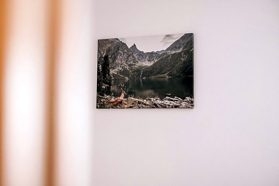 Tarasówka u Zająca