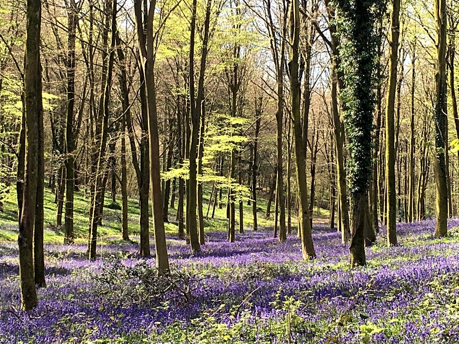 Charlton End - Goodwood Events