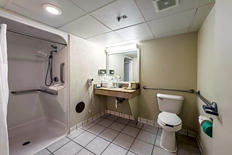 King Room with Roll-In Shower - Accessible/Non-Smoking
