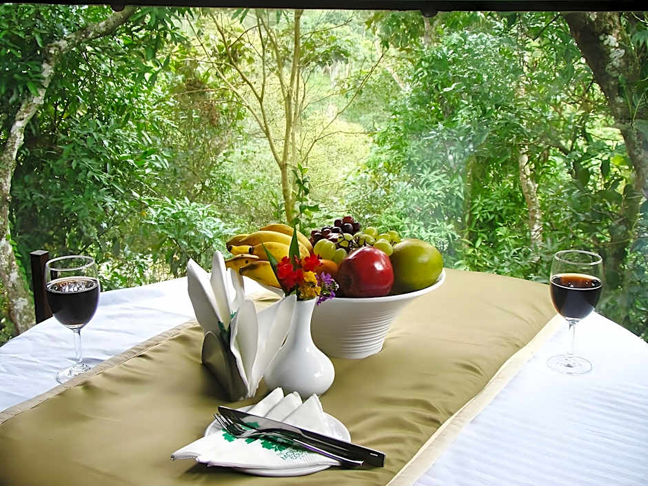 The Mountain Courtyard