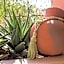 Riad Villa Harmonie