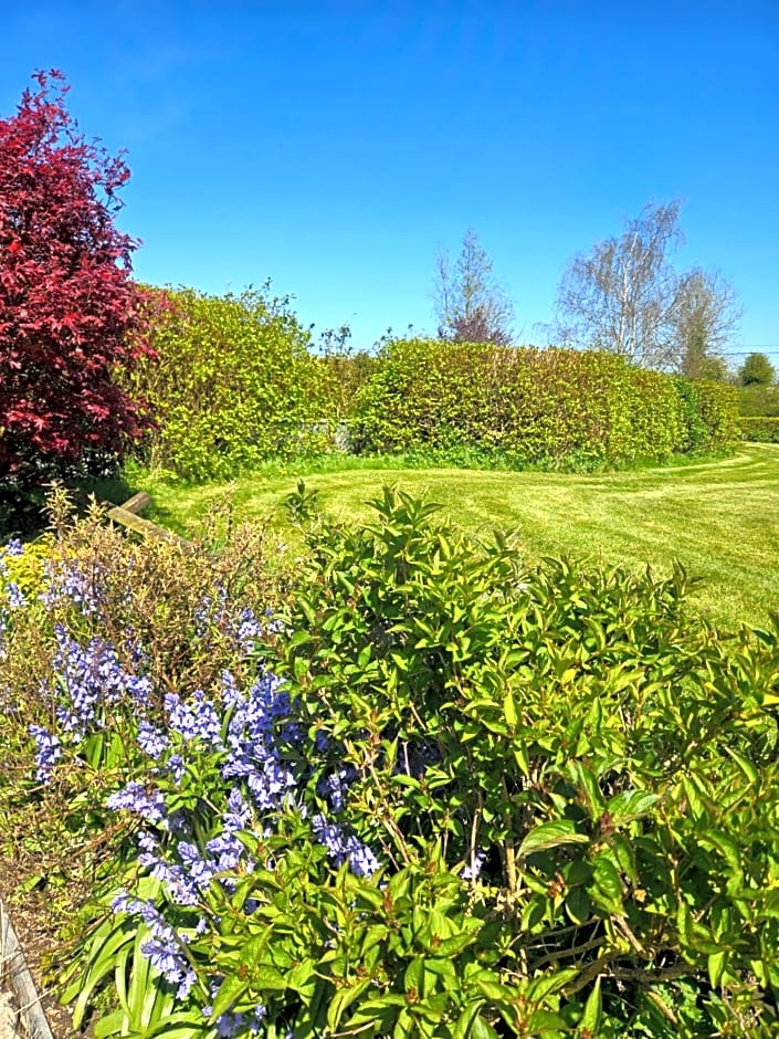 Ard Aoibhinn Roscommon Bed & Breakfast