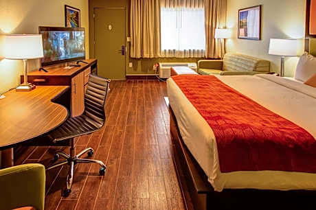 King Room - Non-Smoking