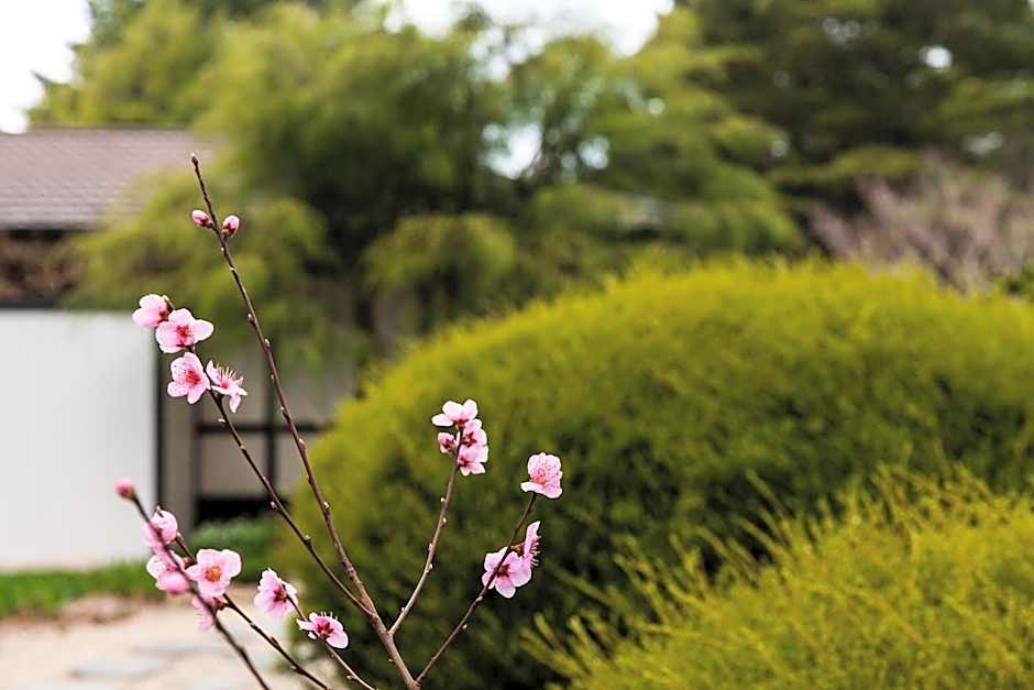 Shizuka Ryokan Japanese Country Spa & Wellness Retreat