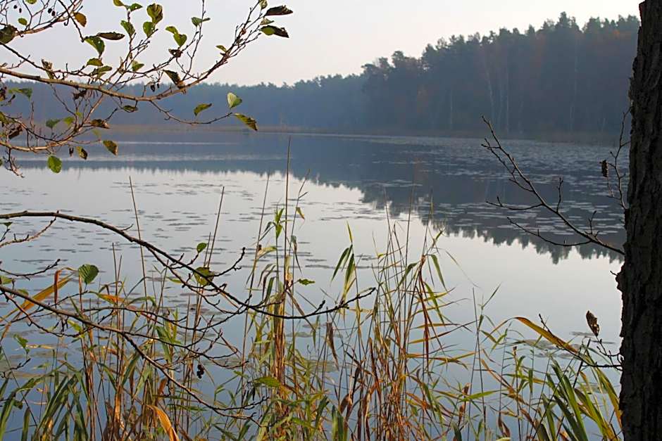 Reetdachhotel - Residenz am Ostufer