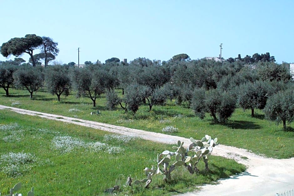 Piccolo Ulivo B&B Salento