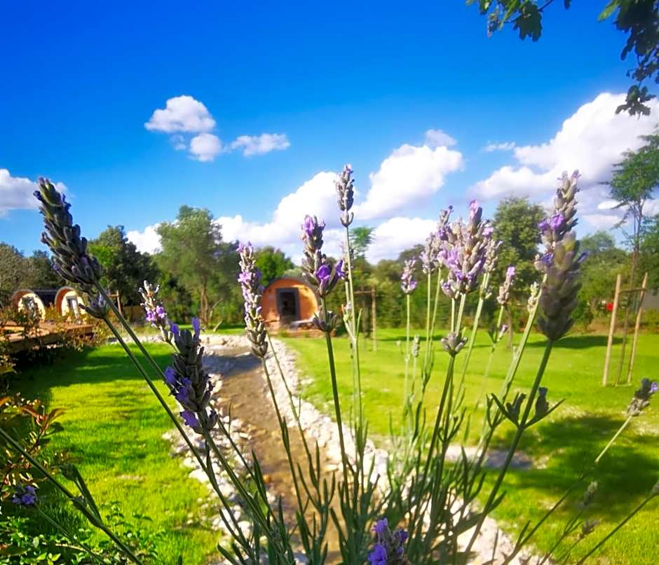 Camping Les Prés du Roi