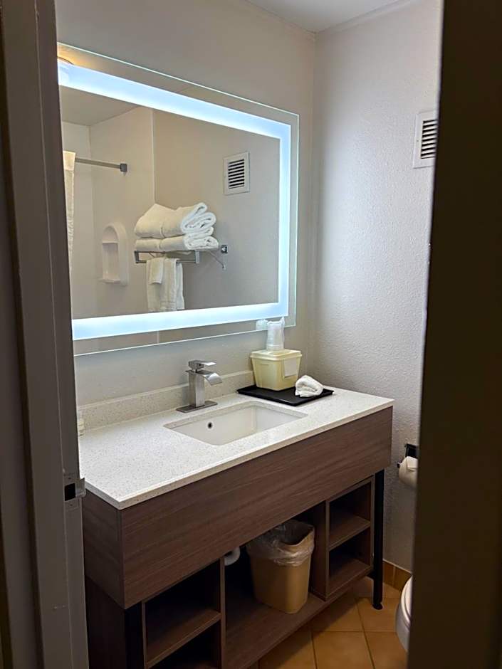 Foto 1 av 1 av 1 King Bed, Accessible, Bathtub
