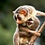 Jetwing Vil Uyana, A Luxury Reserve