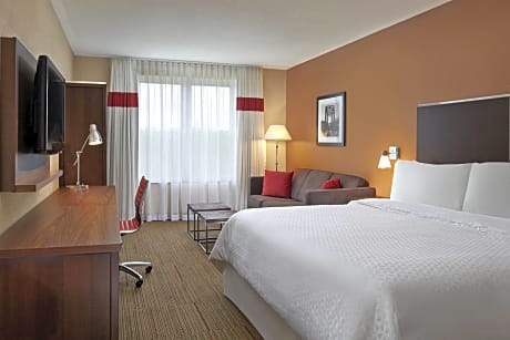 Room, 1 King Bed with Sofa bed (1 King Bed and 1 Double Sofa Bed)