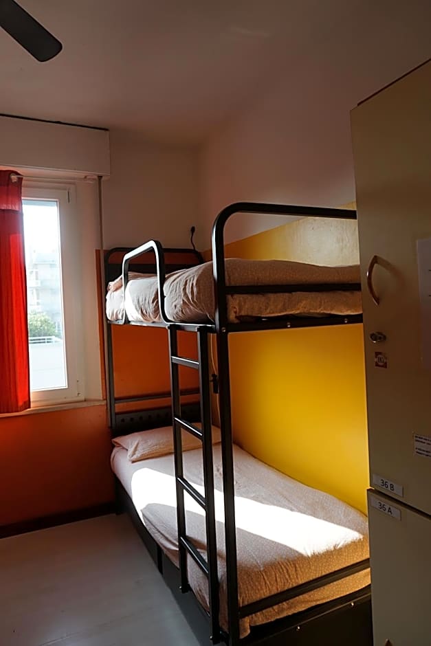 Sunflower City Student Hostel & Bar