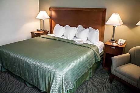 1 King Bed Nonsmoking