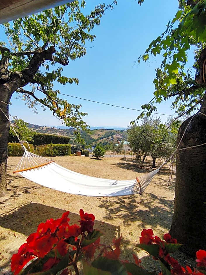 B&B Le Terrazze