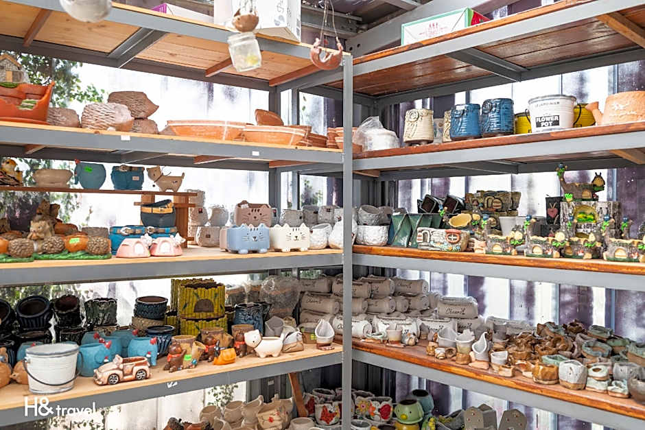 Seeking-Alishan Sunrise