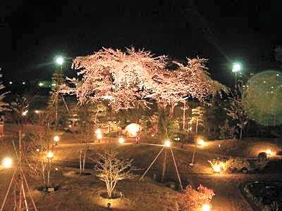 Togurakamiyamada Onsen Seifuen
