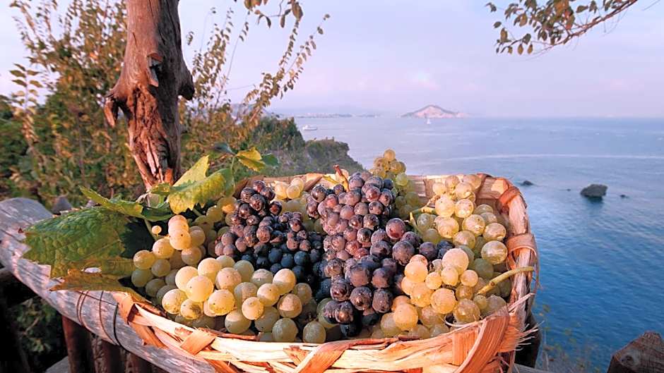 Albergo 'La Vigna'