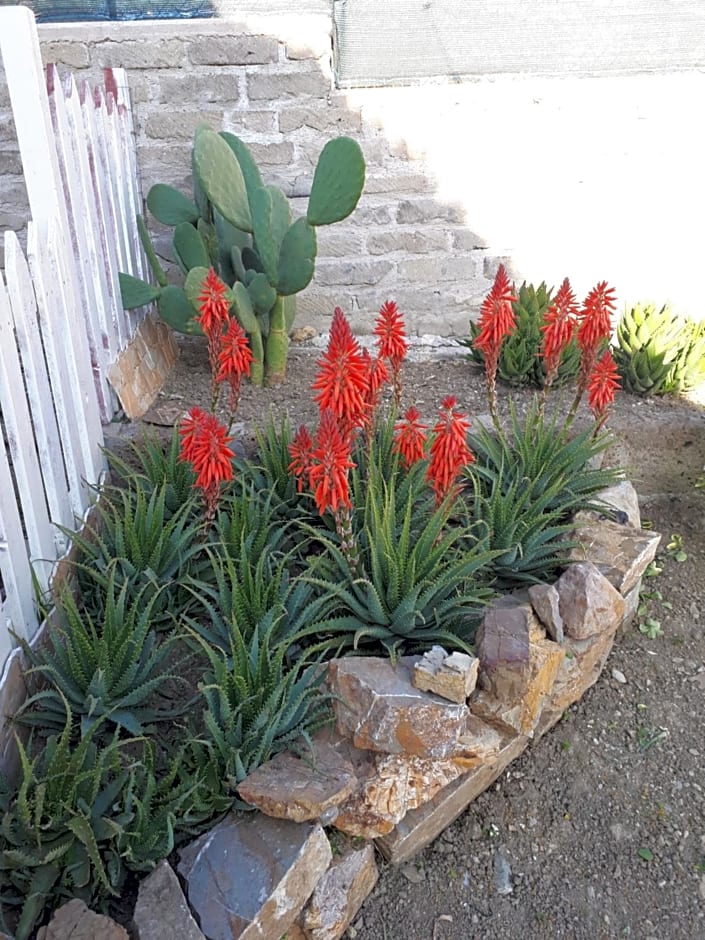 Bed and Breakfast Angolo Fiorito