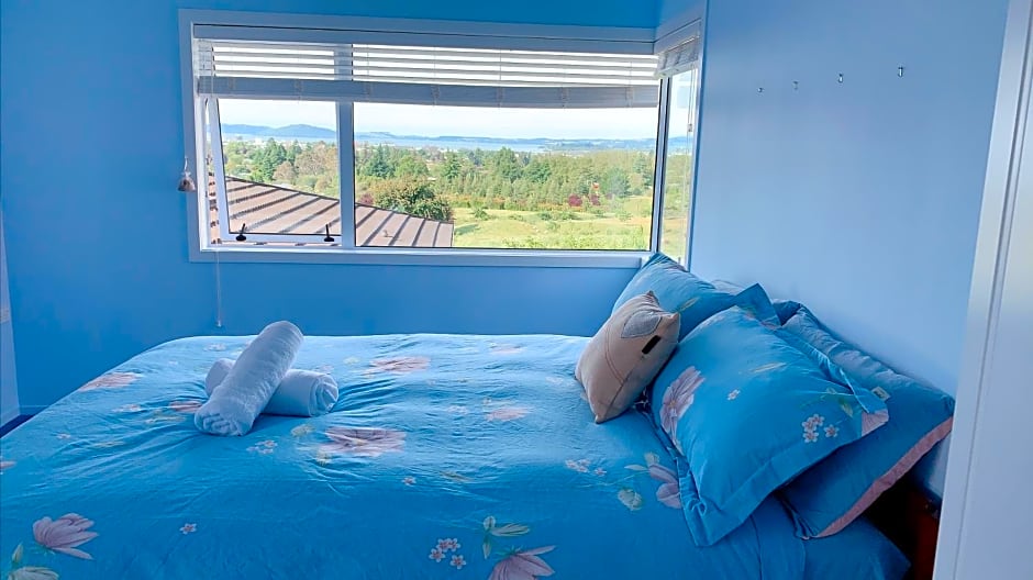 Panoramic View Apartment Without a Kitchen