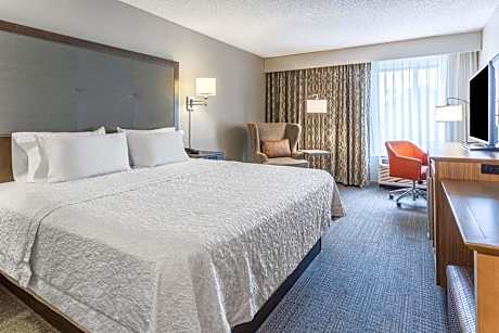 King Room with King Bed - Non-Smoking