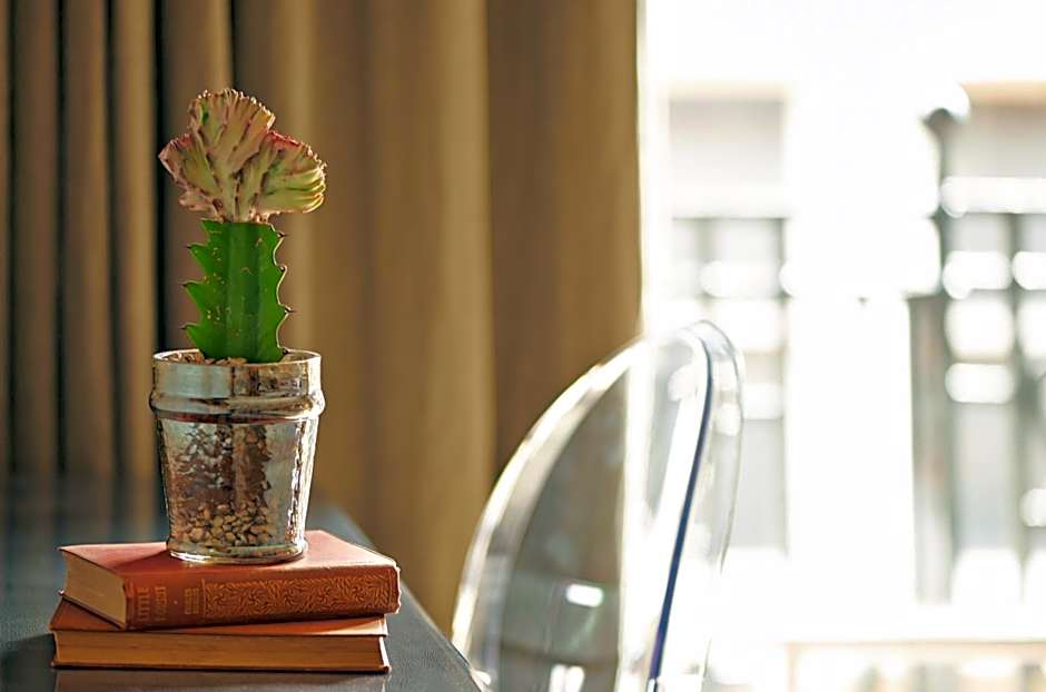 The Bull and The Hide