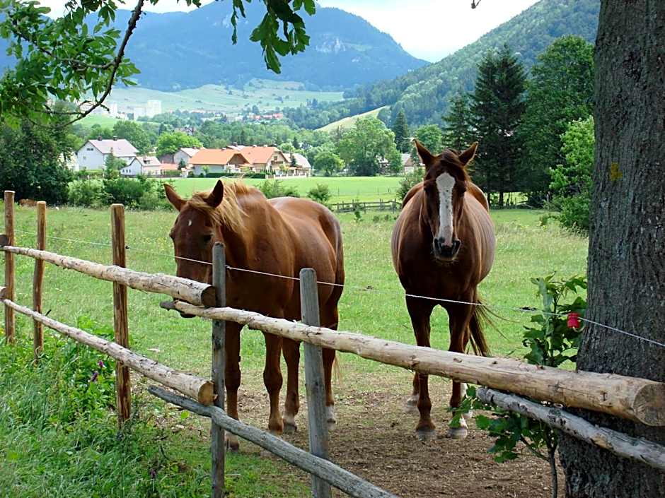 Hotel Paradiesquelle