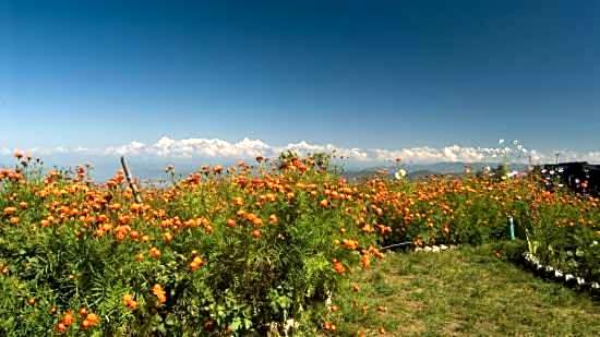 HimView Camp Mukteshwar
