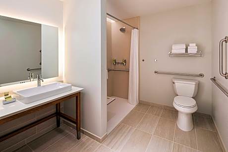 Premium, 1 Bedroom Suite, 1 King, Sofa bed