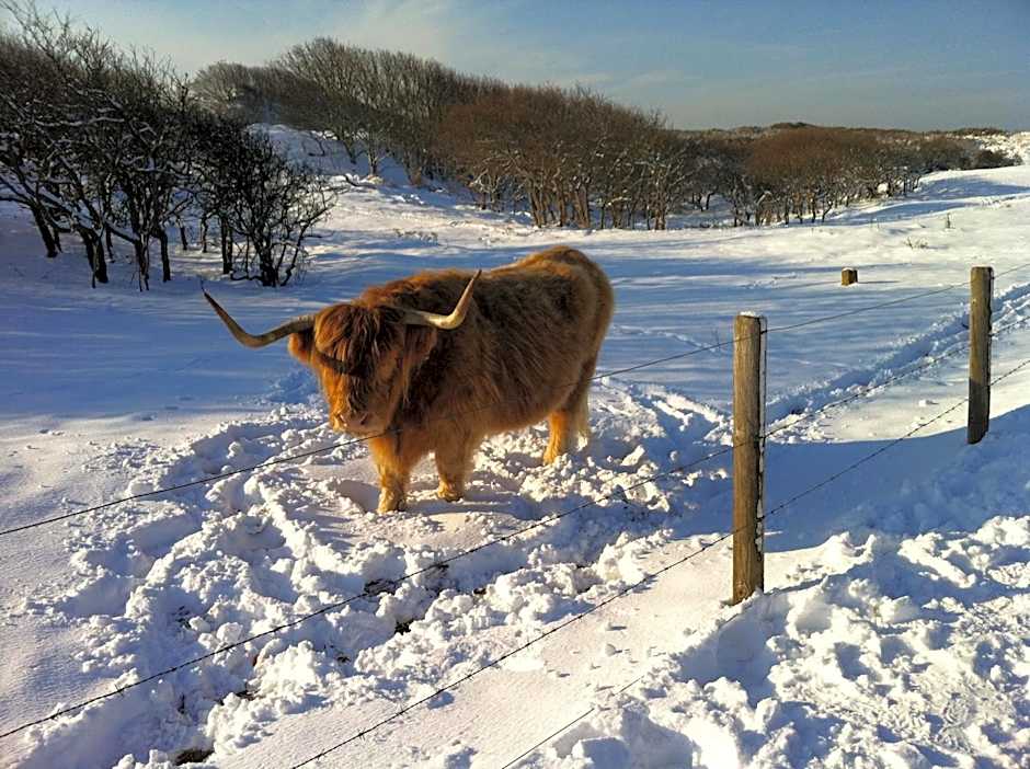 Strandhotel Dennenbos