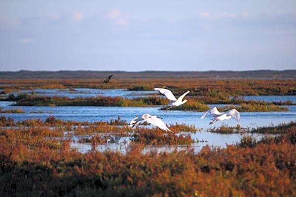 Hostel A Casa da Árvore