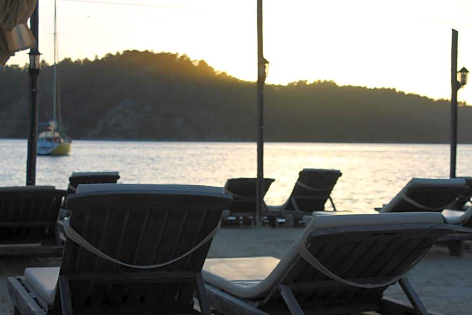 Sakin Vadi Winehouse