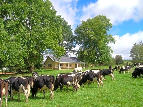 Elgin Guest House