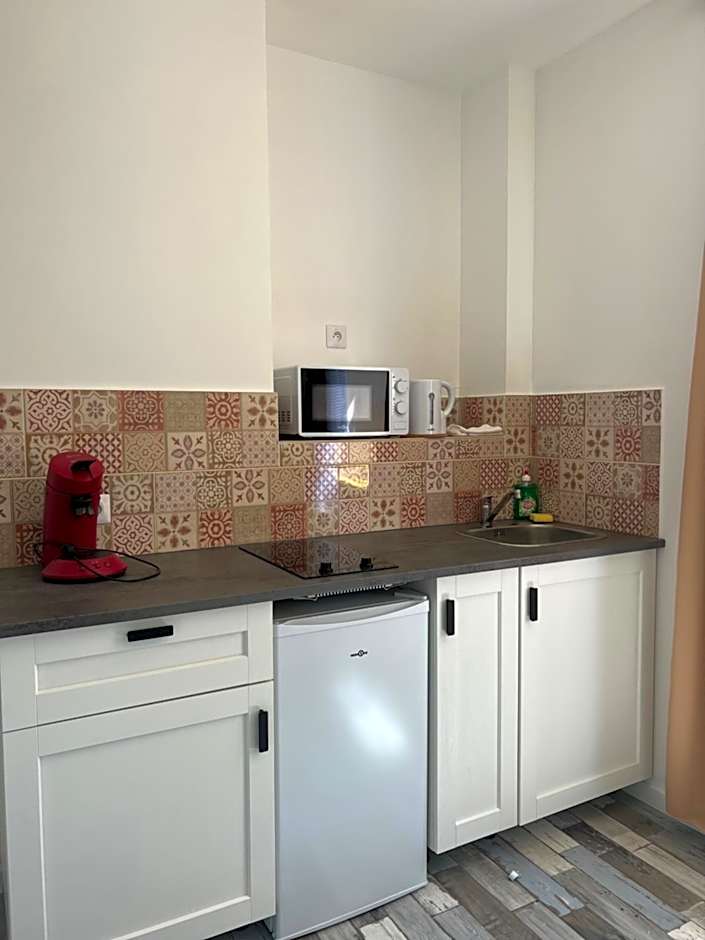 THEIA - Limoges Centre